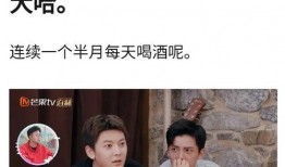 陈翔助理爆料视频播放在线观看,揭秘幕后真相